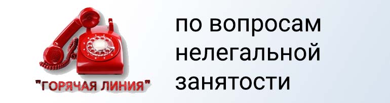 по вопросам нелегальной занятости по вопросам нелегальной занятости.