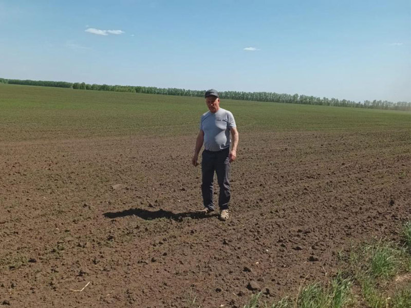 Большие объёмы посевных площадей осваивают в фермерском хозяйстве Владимира Даниловича Трофименко.