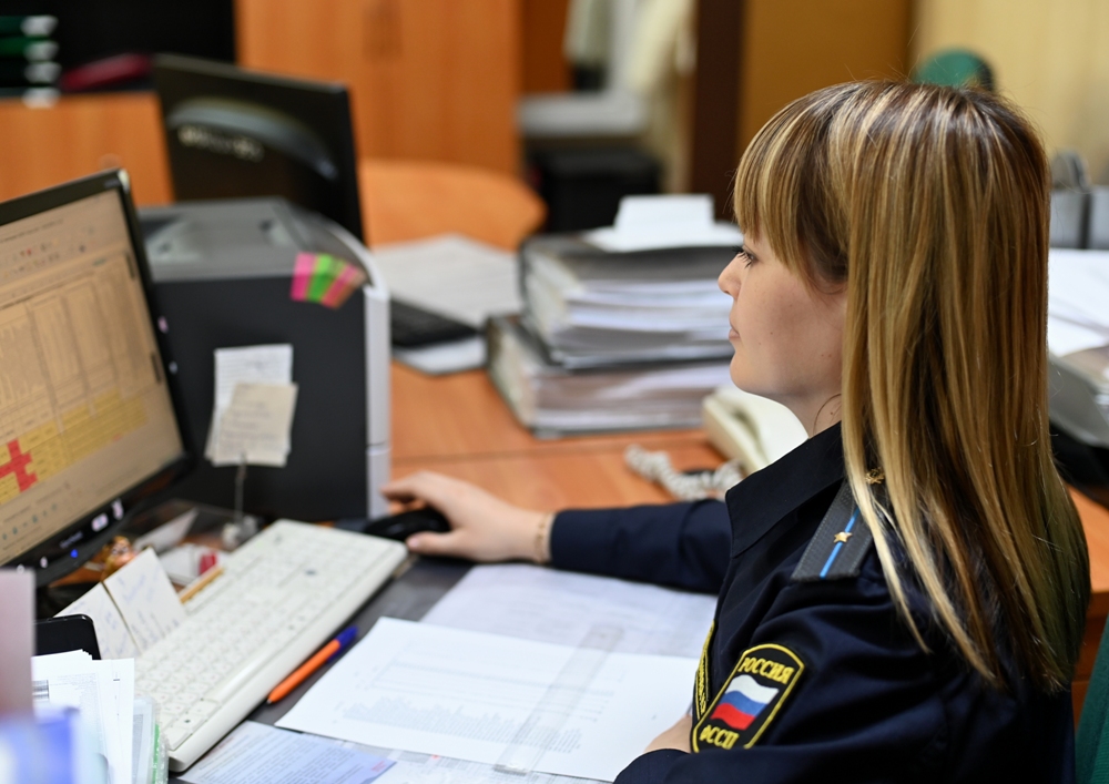 Вырубка лесных насаждений приостановлена в Алтайском районе.