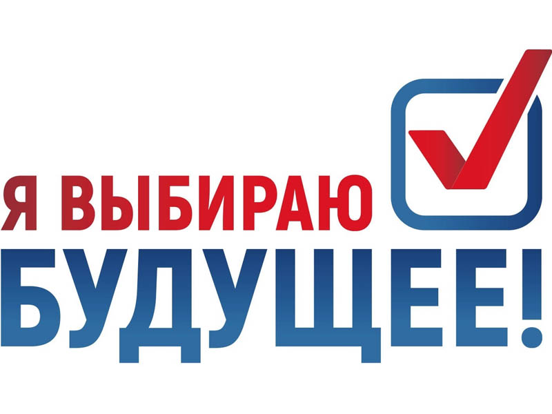 В рамках проведения месячника молодого избирателя запущен конкурс на лучший информационный буклет «Мой выбор - моя страна».