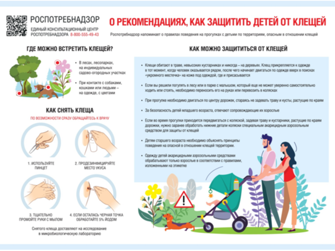 РЕКОМЕНДАЦИИ ГРАЖДАНАМ: Как защитить детей от клещей.
