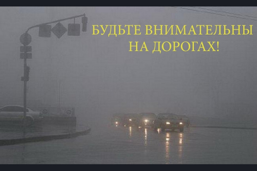 Госавтоинспекция Алтайского края обращается к участникам дорожного движения.
