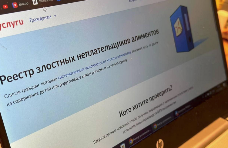 На Госуслугах заработал реестр злостных неплательщиков алиментов.
