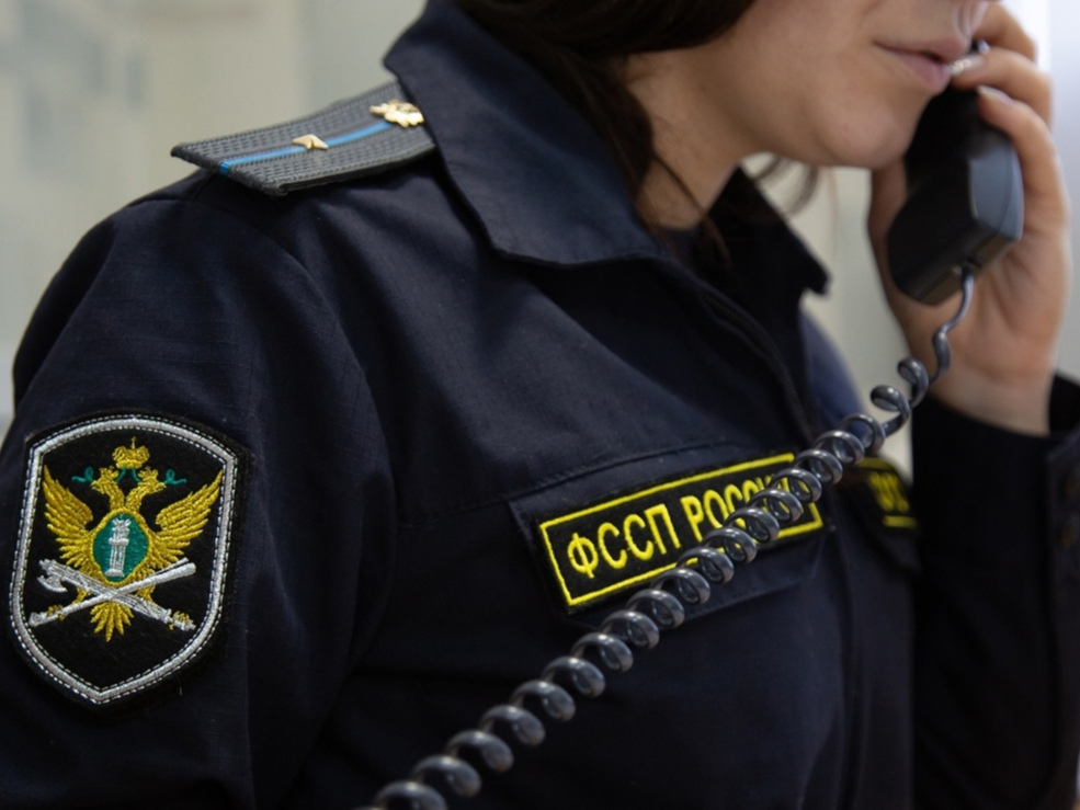 Жители Алтайского края смогут получить консультации по алиментам по телефону горячей линии.