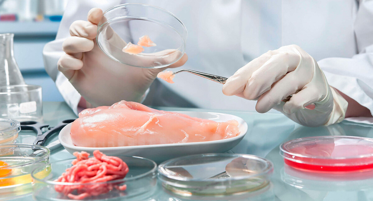 Чем опасны блюда из дикого мяса, рассказали специалисты ЦОК АПК.