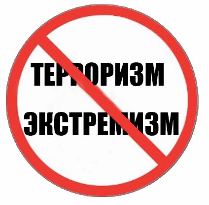 Уголовная и административная ответственность за экстремизм и терроризм.
