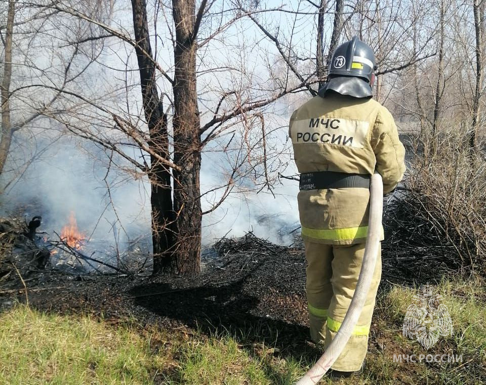В разы увеличилось количество возгораний сухой травы и мусора на территории Алтайского края..