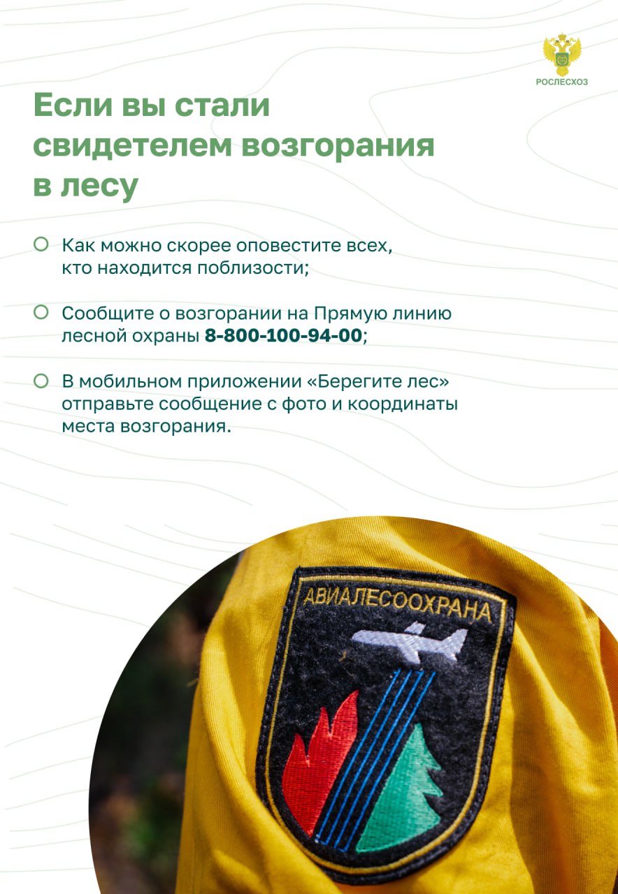 Изображения.