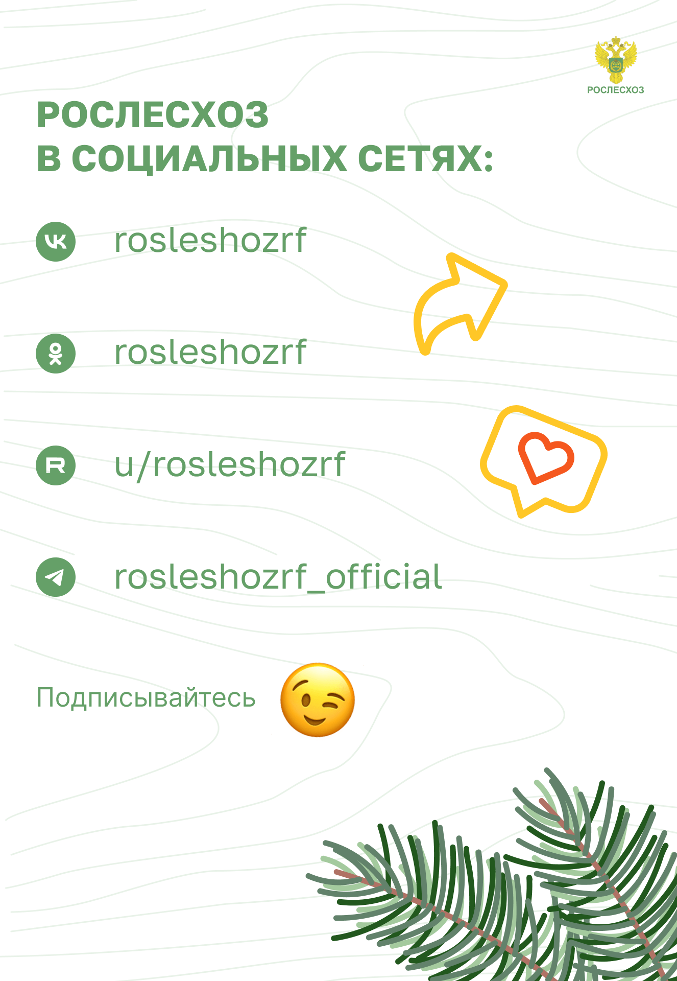 Изображения.