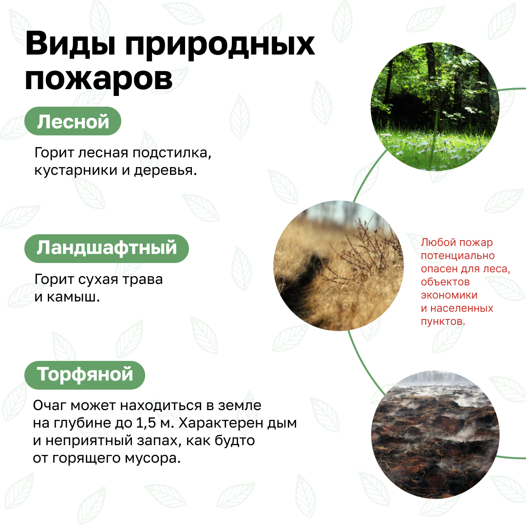 Изображения.