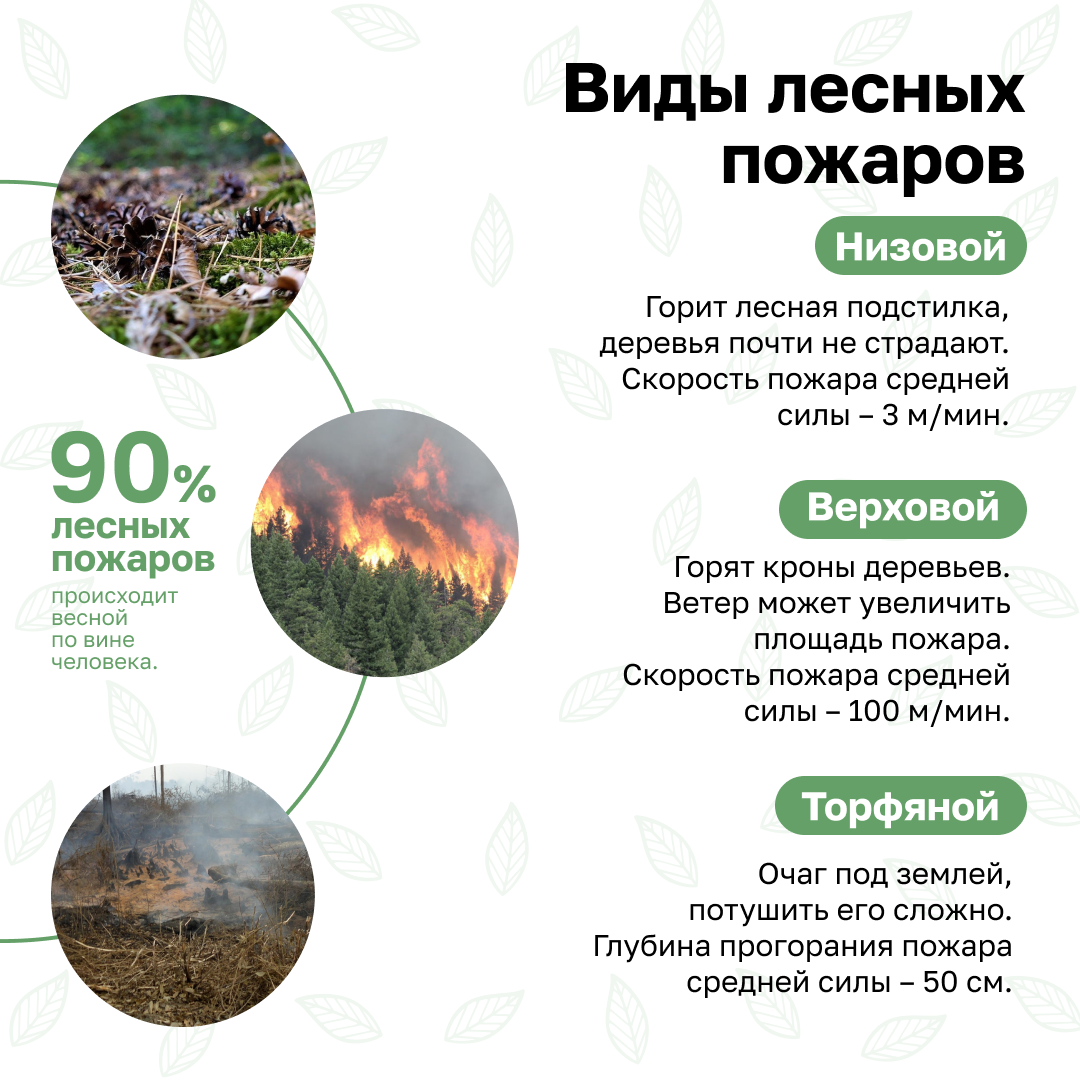 Изображения.
