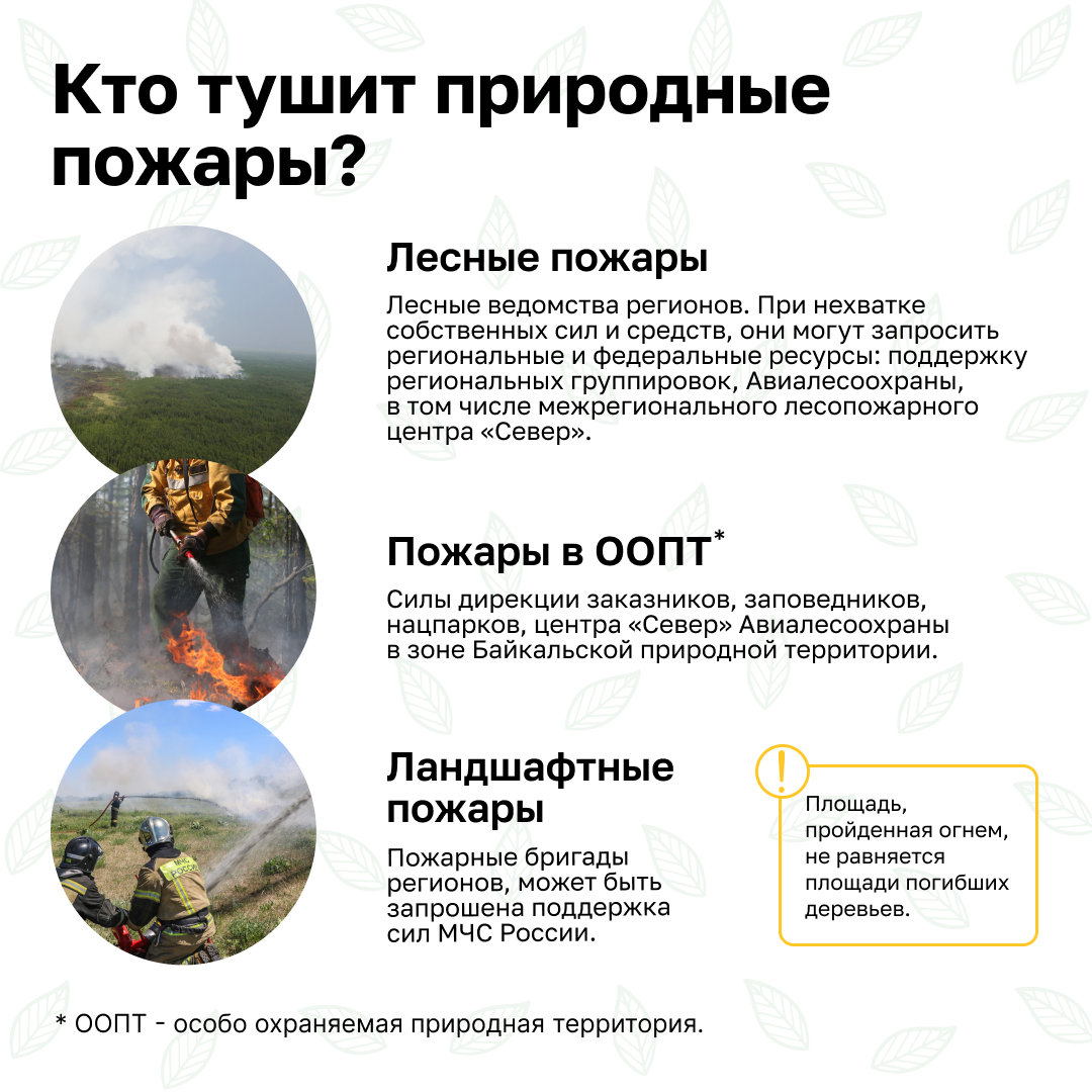 Изображения.