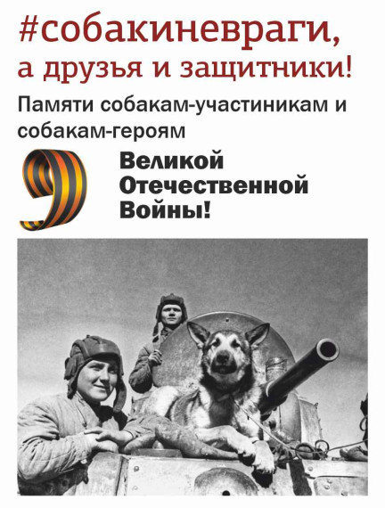 #собакиневраги, а наши друзья и защитники: приют «Ласка» напомнил о собаках-участниках Великой Отечественной войны.